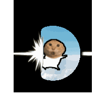 meme inspiration